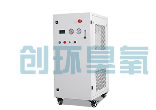 石嘴山石斑鱼养殖水质调控完整指南:臭氧发生器配置与操作步骤