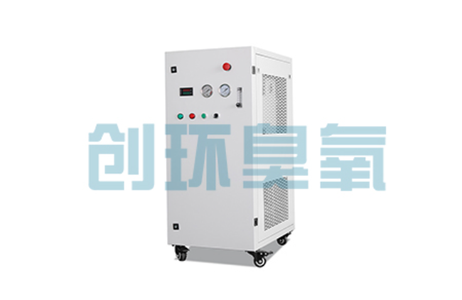 石嘴山比传统换水更高效?臭氧发生器在石斑鱼养殖中的水质净化原理解析